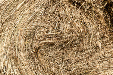 Similar image 13203967