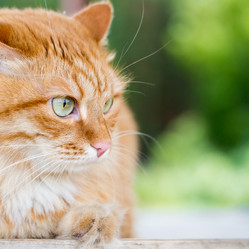 Similar image 13191088