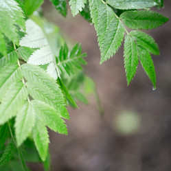 Similar image 13191091