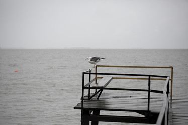 Similar image 13191092