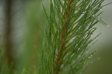 Similar image 13191094