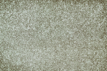 Similar image 13231519