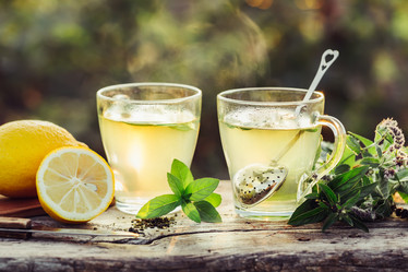 Similar image 13191516