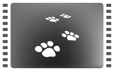 Similar image 13209315