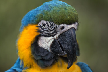 Similar image 13191095