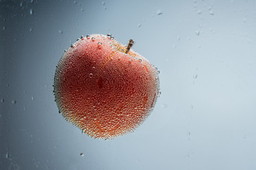 Similar image 13199239