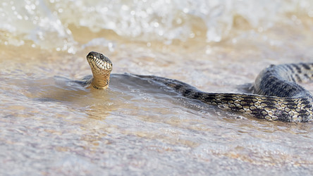 Similar image 13191349