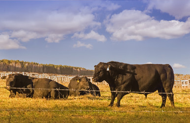 Similar image 13231523