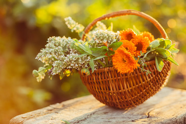 Similar image 13191522