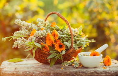 Similar image 13191523