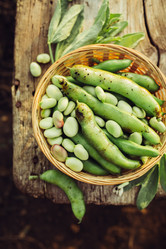 Similar image 13191527