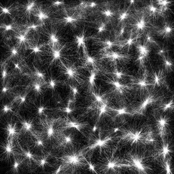 Similar image 13192511