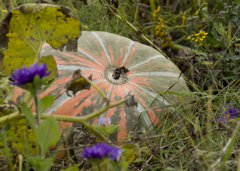 Similar image 13226356