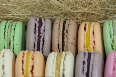 Similar image 13226358