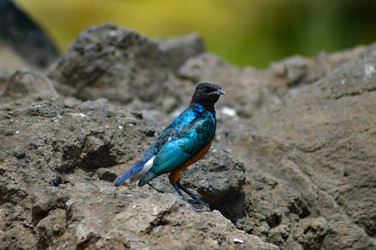 Similar image 13200197