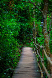 Similar image 13195128