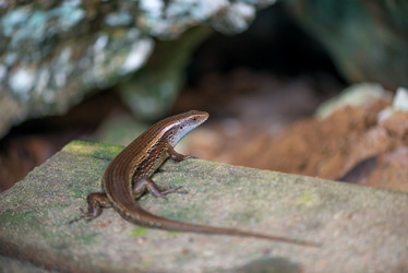 Similar image 13195131