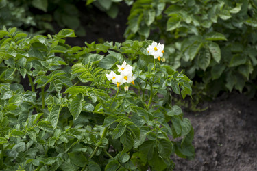 Similar image 13226364