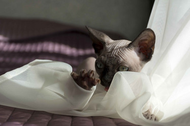 Similar image 13226366