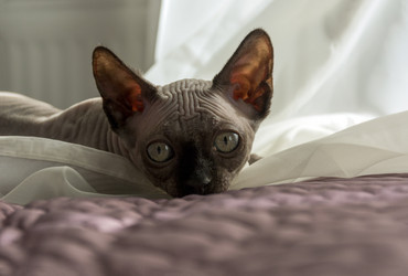 Similar image 13237618