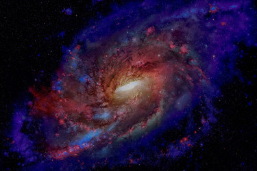 Similar image 13194408