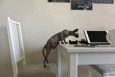 Similar image 13237623