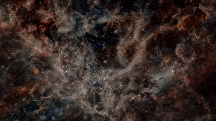 Similar image 13194476