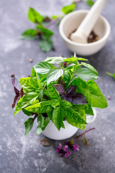 Similar image 13191499