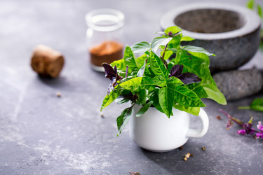 Similar image 13191500