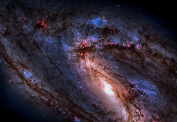 Similar image 13194503