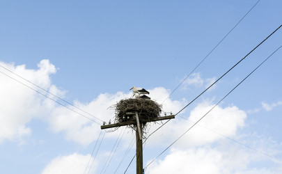 Similar image 13242250