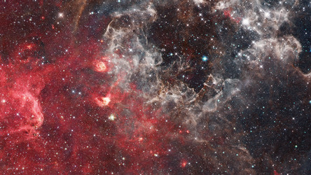 Similar image 13194627