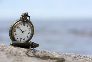 Similar image 13237654