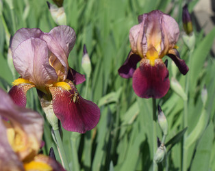 Similar image 13194554