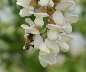 Similar image 13194555