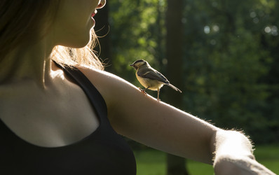 Similar image 13237714