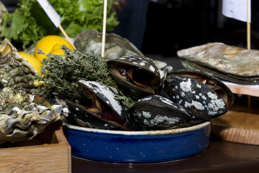 Similar image 13237686