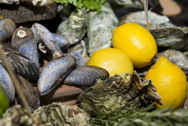 Similar image 13241728