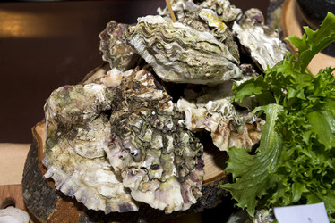 Similar image 13241729