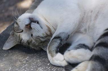 Similar image 13241736