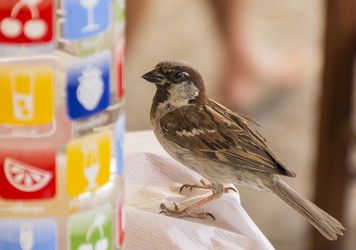 Similar image 13242268