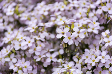 Similar image 13242269