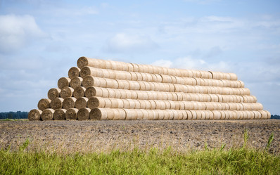 Similar image 13191308