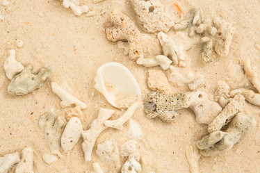 Similar image 13192464