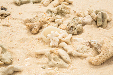 Similar image 13192466