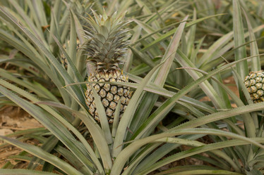 Similar image 13192481