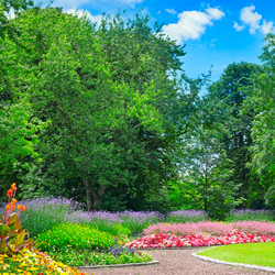 Similar image 13195485