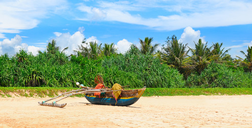 Similar image 13195489