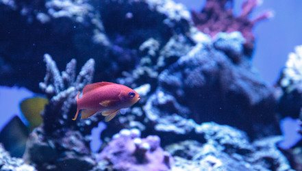 Similar image 13201577