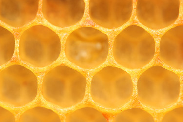 Similar image 13204533